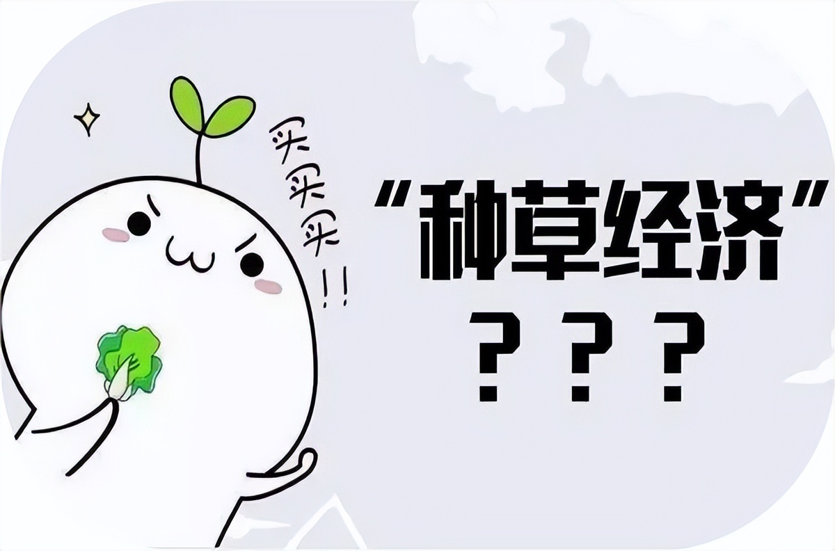 月子会所小红书获客_小红书月子会所运营策略_适合小红书的文案